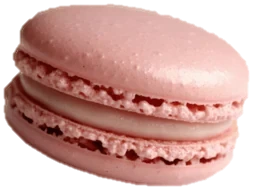 A classic pink macaron with a thin layer of filling