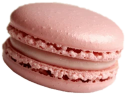 A classic pink macaron with a thin layer of filling